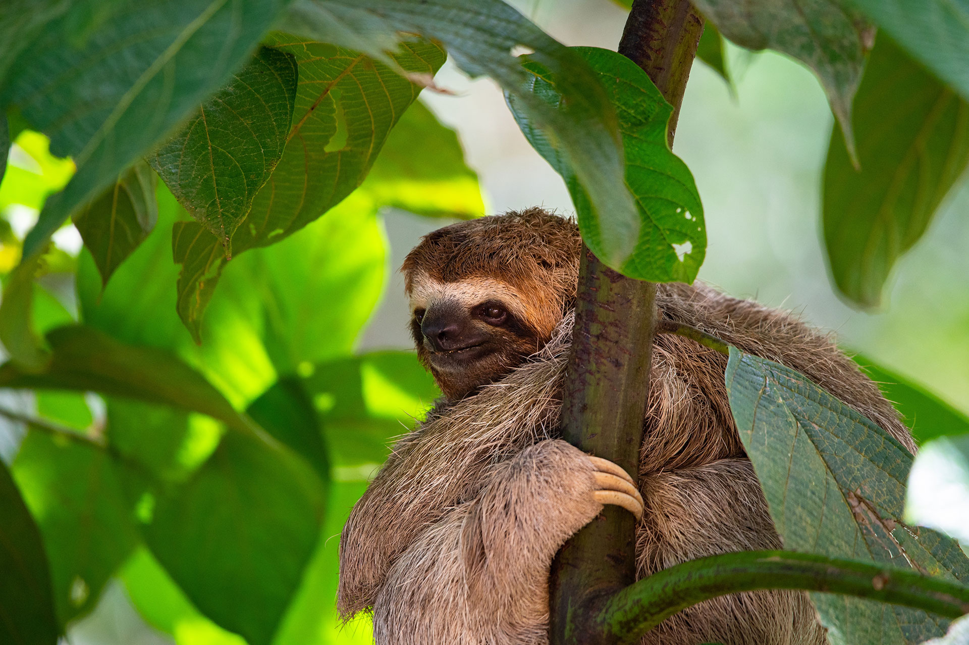 latinconnect-costa-rica-gallery-1