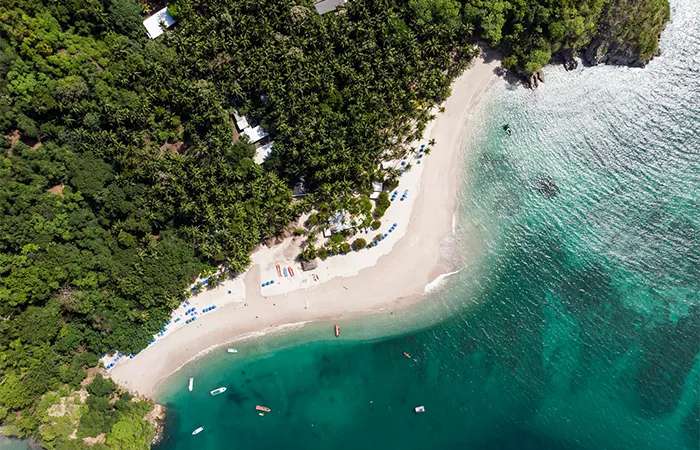 Vue aérienne d'une plage de sable des Caraïbes avec une mer turquoise et des palmiers sur la côte de Cahuita.
