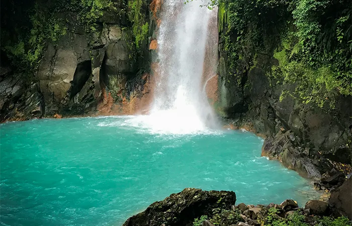 Cascade bleu turquoise du Río Celeste dans le parc national du Tenorio, nichée dans une forêt tropicale luxuriante.