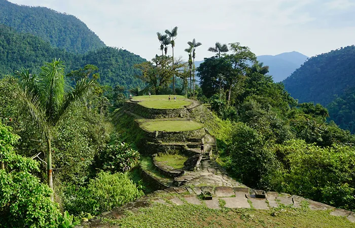 Terrassen und Steinstufen der Ciudad Perdida im dichten Dschungel der Sierra Nevada de Santa Marta